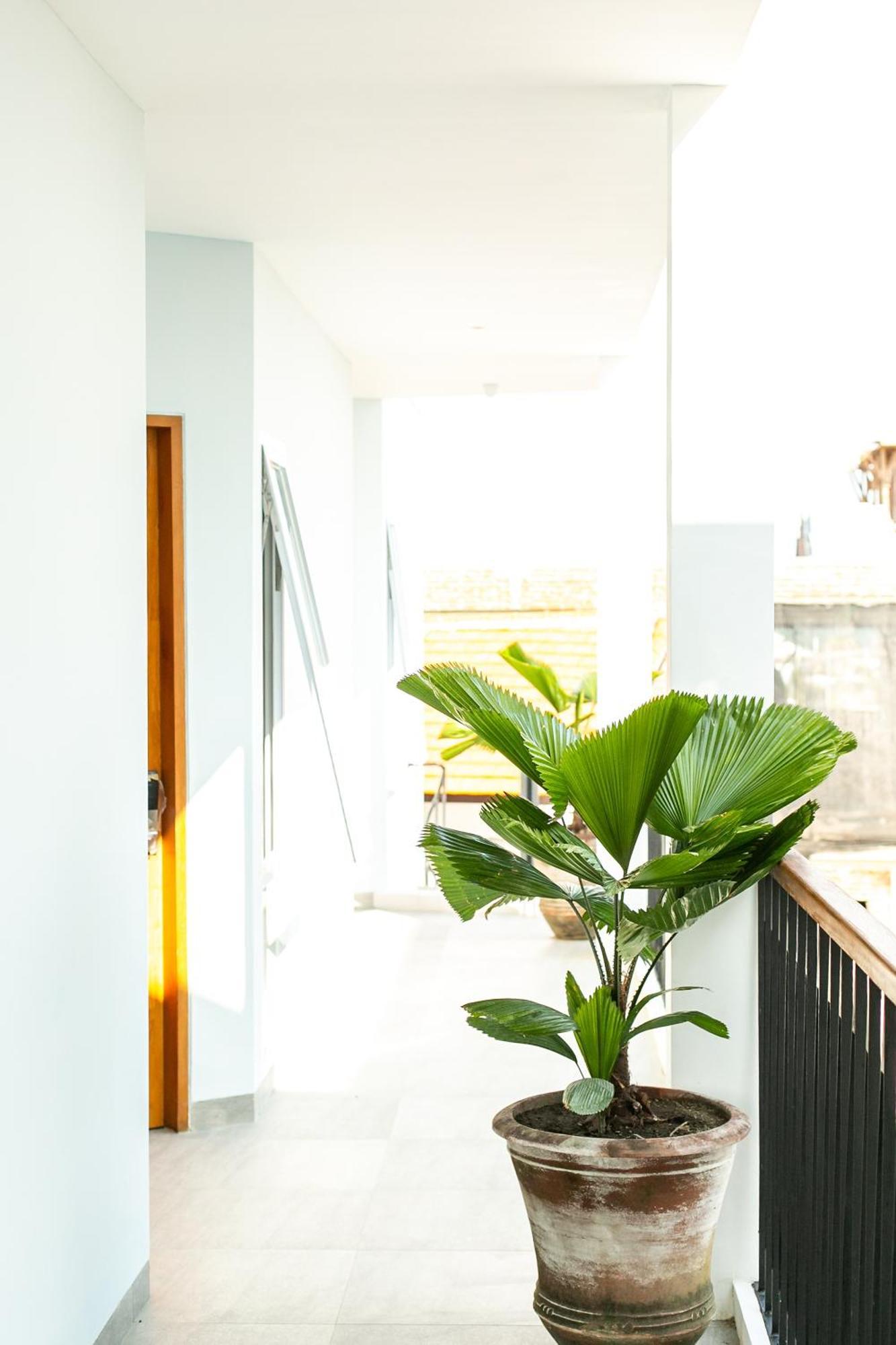 Coco & Pineapple Pants Hostel Canggu  Exterior photo